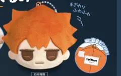 ハイキュー日向