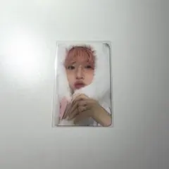 NCTWISH サクヤ シーグリ トレカ