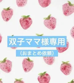 双子ママ様 リクエスト 10点 まとめ商品【おまとめ依頼1,800円引☺︎】