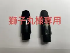 Item thumbnail for item c096f28b-fd05-4659-a86d-cd8a41d1c395