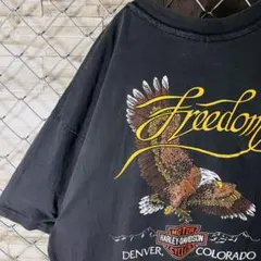 希少 89年製 USA製 ハーレーT 両面プリントTシャツ XL 墨黒 ダメージ