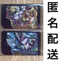 ポケモン　フレンダ　5弾　スーパートレジャー　タケルライコ・ウネルミナモ　2点