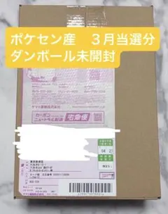 【完全新品未開封】MEGAドリームex シュリンク付き 1BOX ポケセン産