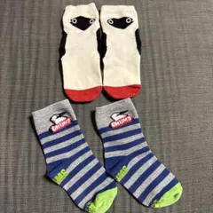 チャムス　靴下　キッズソックス