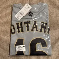 侍ジャパン 大谷翔平 Tシャツ WBC 2026 L ミズノ社製