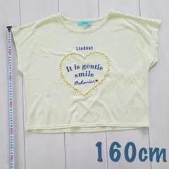 T01 Lindsay ロゴ Tシャツ 160cm