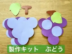 製作キット　ぶどう　保育　保育教材　製作　10枚分　壁面製作　秋の壁面