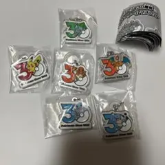 ポケモン30周年　メタルチャームマスコット