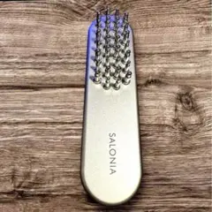 2025年最新】SALONIA(サロニア) EMSリフトブラシ の人気アイテム