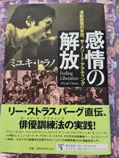 感情の解放 ミユキヒラノ