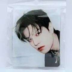 Stray Kidsスキズ スンミン アクスタ ver.1