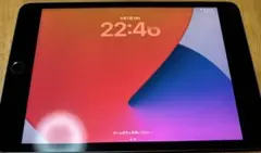 iPad mini5