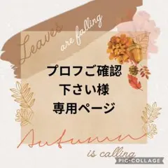 プロフご確認下さい様　専用ページ