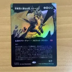 全族党に連なる者、ベトー foil - メルカリ