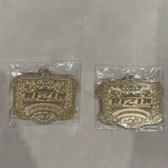 匿名配送 RIZIN 이치방쿠지 チャンピオンベルト キーホルダー 2종 세트