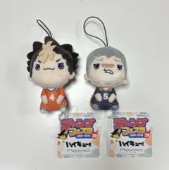 もちぴこ　ハイキュー　ぬいぐるみ　西谷　田中　ジャンプフェスタ　ジャンフェス