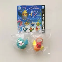 羽ばたきインコ めじるしチャーム オキナインコ　コガネメキシコインコ　シープラ