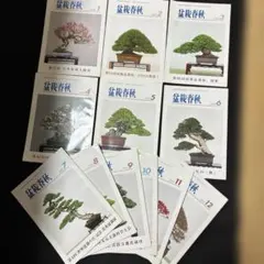 国風盆栽展 第81回 第82回 図録 2冊セット - メルカリ