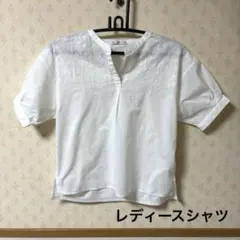 レディース半袖シャツのサムネイル