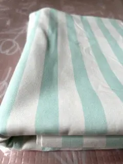 ■□カラーオックス　グリーン系　ストライプ