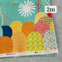 SALE オックス 生地幅× 2m 海の中 さかな柄 Hanauta グリーン