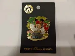 未使用 ピンズ ミッキー パイレーツオブカリビアン 東京ディズニーリゾート