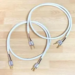 2026年最新】tara labs prismの人気アイテム - メルカリ