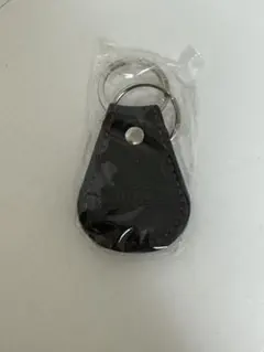 Item thumbnail for item 6cdc91f4-7a15-4dee-86a7-553ac08a5aa6