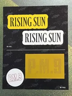 矢沢永吉　E.YAZAWA 1982年カレンダー Rising Sun 矢沢永吉 E.YAZAWA 1982年カレンダー Rising Sun