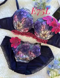 サルート 63group ブラI85 ノーマルLL