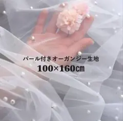 Item thumbnail for item df619992-5f5d-4ac7-84c6-f5ca930de62a