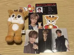 ネクスジ アイドル