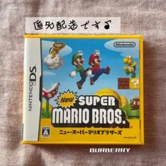 【DS】New SUPER MARIO BROS._任天堂株式会社