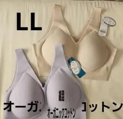 262350 トリンプ　スロギー　綿混　オーガニックコットン　Vネック　LL