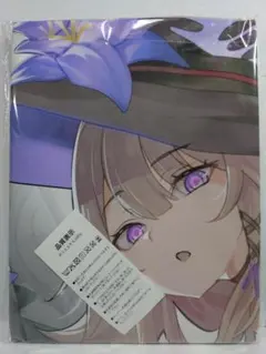 ヘルター タペストリー(縦520mm×横730mm) ダブルスエード生地