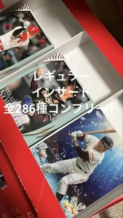 オーナーズリーグ 東京ヤクルトスワローズ まとめ売り バラ売り可