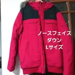 THE NORTH FACE フード付きダウンジャケット Lサイズ