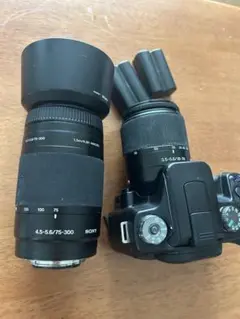 SONY DSLR-A100 ダブルズームレンズキット