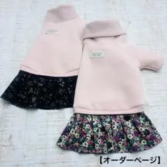 Item thumbnail for item dd4f6cc6-ed6e-4aef-a294-61f00d51a81f