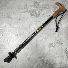 Item thumbnail for item 9485df65-953f-4603-82be-43c7c80baa26