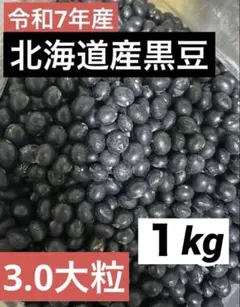 鹿児島県産黒ささげ豆 - メルカリ