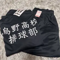 【新品未使用】ハイキュー 鳥野高校 排球部 ジャージセット M 上下セット