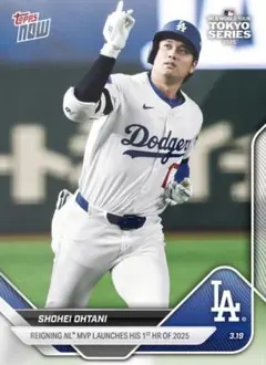 大谷翔平 ドジャース カブス 東京シリーズ TOKYO SERIES カード匿名