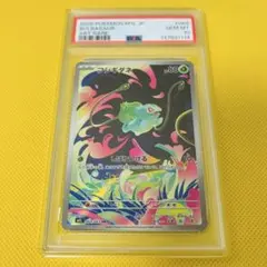 2026年最新】フシギダネAR psa10の人気アイテム - メルカリ