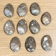 Item thumbnail for item fc859fb6-0bc3-4a11-82b4-26a262a4fd0c