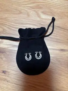 2025年最新】伊勢谷友介 ピアスの人気アイテム - メルカリ