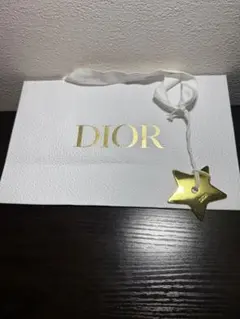 Dior ショップ袋 ホワイト ゴールドロゴ