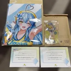 ホロライブ 雪花ラミィ chocoZAP - メルカリ