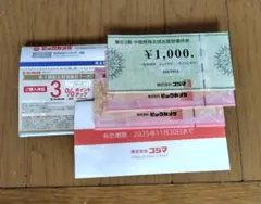 【3000円分】ビックカメラ 株主優待券