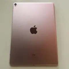 Item thumbnail for item 200e47fc-3076-4eec-877e-7739b49feedd